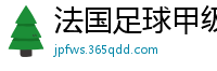 法国足球甲级联赛